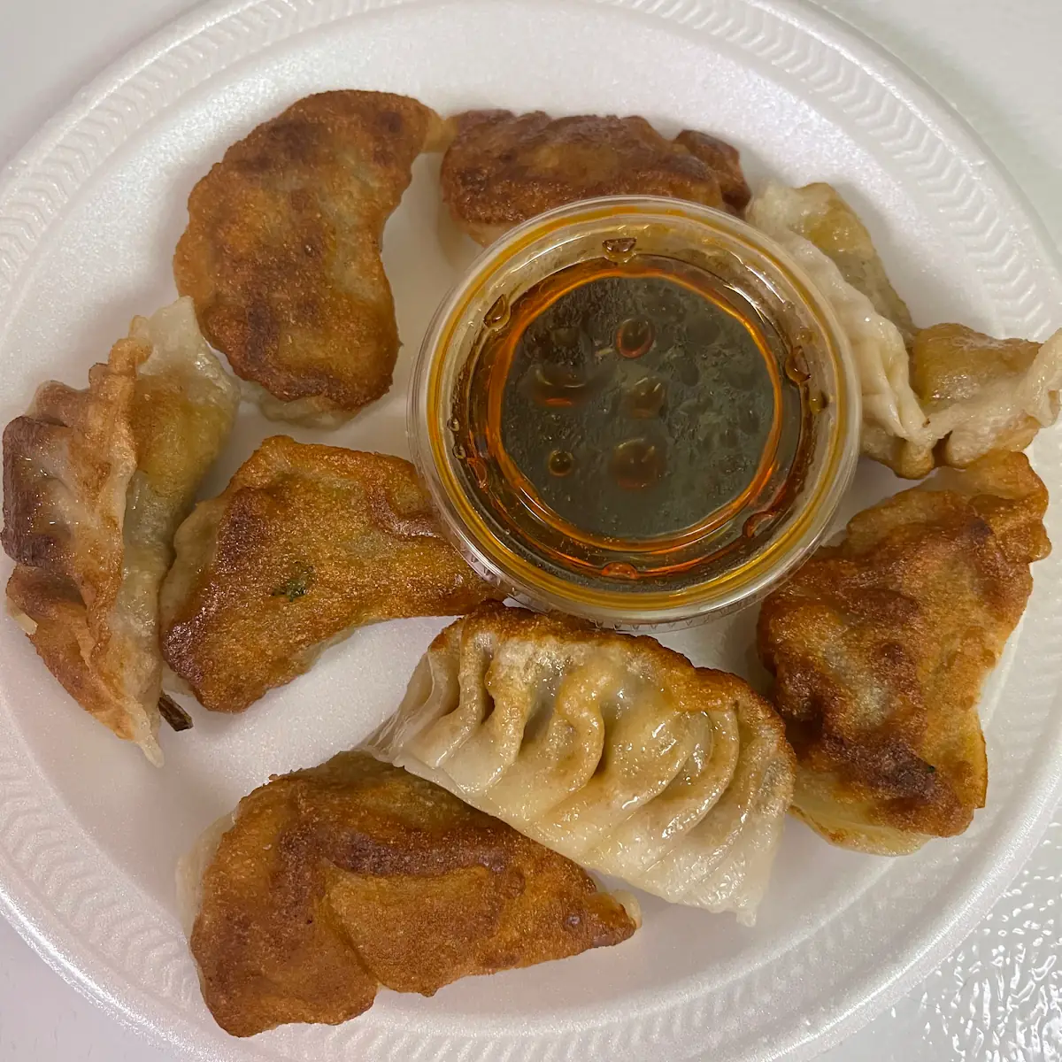 Fried or Steamed Dumplings 饺子